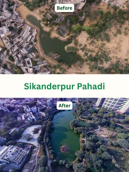 This is the power of ecological restoration. On the top, you see the Sikanderpur Pahadi site as it was, a barren and neglected landscape. Below is the same site after our restoration work, transformed into a vibrant, life-sustaining water body that now recharges groundwater and supports a thriving ecosystem.