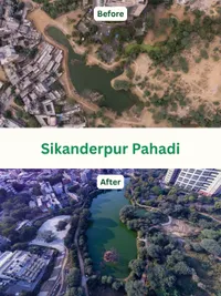 Eco-Restoration Projects
