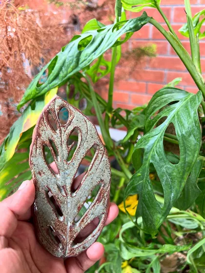 A monstera leaf spoon rest, created by pressing a real leaf into the clay. It's a perfect example of how nature can inspire functional art.