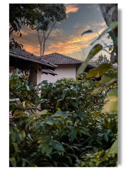 A glimpse of the resort cottages at Magnolia Resorts through lush foliage at sunset. The warm colors of the sky and the tranquil setting create a peaceful and picturesque evening scene.