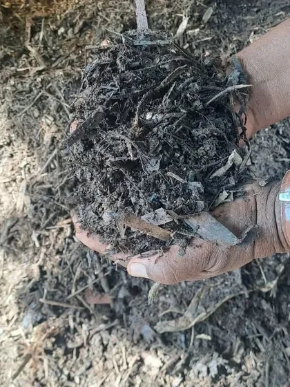 From waste to wealth. We turn all our green waste into rich, nutrient-dense compost, which we then use to grow our healthy plants. It's a full-circle, sustainable process.
