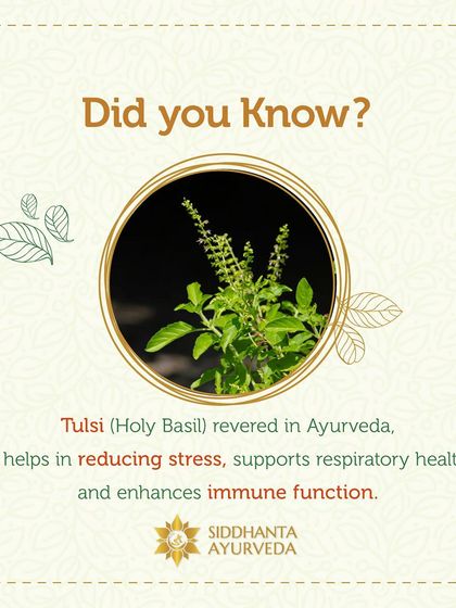 Siddhanta Ayurveda - Detox, Stress Relief & Rejuvenation The Power of Ayurvedic Herbs photo 7
