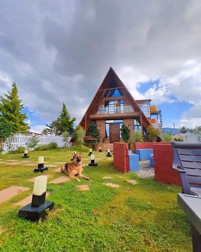 Pet-Friendly Accommodation