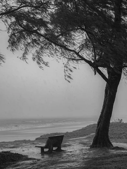 A lone bench under a windswept tree overlooks a stormy sea. This moody, atmospheric photograph captures a feeling of solitude and the raw power of nature.