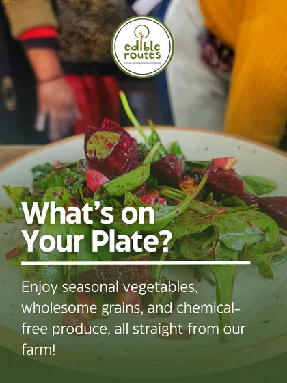 Taste the freshness in every bite. This vibrant salad is a perfect example of our food philosophy: simple, seasonal, and straight from our organic farm. What we harvest in the morning is what you'll find on your plate.