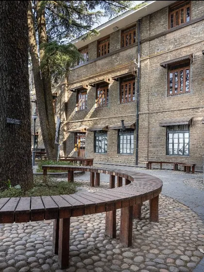 The finished outdoor seating area, with curved benches made from upcycled wood that flow around the existing trees, creating a harmonious social space.