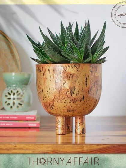 Thorny Affair - Pots & Planters Handcrafted Metal Planters photo 34