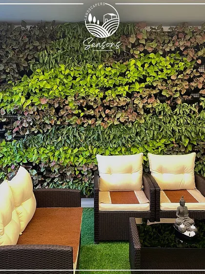 A close-up of a thriving vertical garden, showcasing the rich tapestry of colors and textures we create. The combination of bright greens, deep purples, and variegated leaves turns this wall into a living masterpiece.