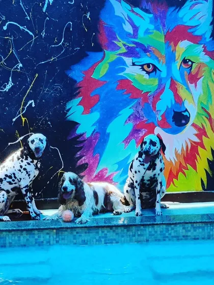 We love having the whole squad over! Here are Joy, Olive, and Sophie posing like superstars in front of our custom graffiti wall after a refreshing swim. Our space welcomes dogs of all breeds for playdates and parties.