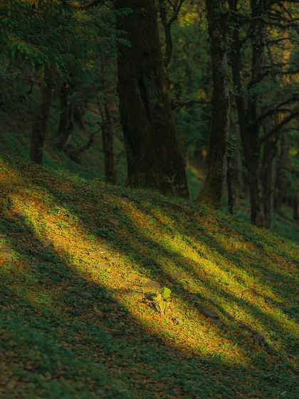 Garima Bhaskar - Photo & Video Editing Presets Aqua: Moody Blues & Greens for Travel photo 45