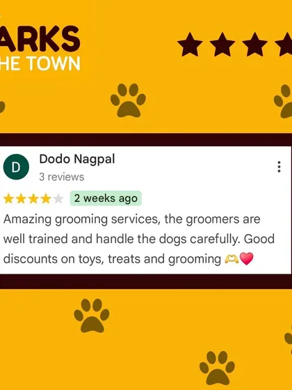 Another great review praising our amazing grooming services, well-trained groomers, and good discounts on our products.