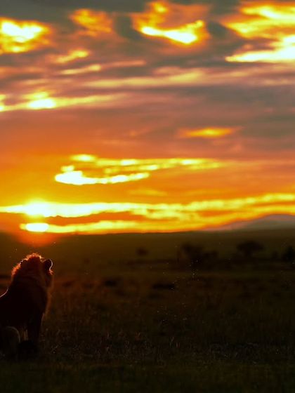 The Art of Seeing: Creative Compositions photo 9