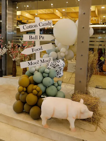A directional signpost at Vyom's farm party, pointing guests towards the "Cotton Candy," "Ball Pit," and "Moo Moo" fun.