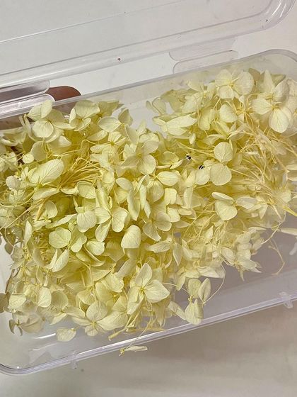 The lemon-yellow hydrangea petals add a soft, subtle touch of color for a fresh and pretty look.