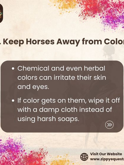 The number one rule for horse safety during Holi is to keep them away from all colors, whether chemical or herbal. These substances can irritate their skin and eyes, and we take every measure to prevent exposure.
