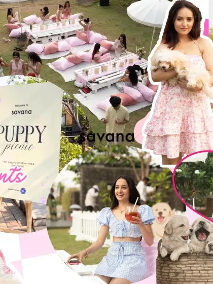 Another collage capturing the essence of the puppy picnic, with guests, puppies, and the beautiful savanna-like surroundings.