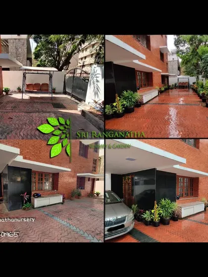 A before and after look at a driveway makeover. By adding a variety of potted plants along the wall, I was able to make the entrance feel much more green and inviting.