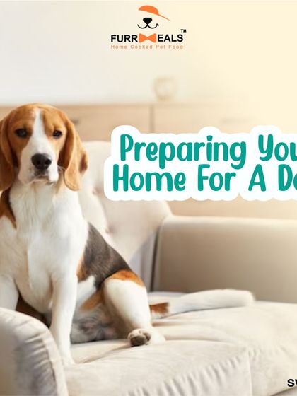 Preparing your home for a new dog is essential for a smooth transition. This guide walks you through the key steps, including dog-proofing your space, creating a cozy den, stocking up on supplies, and setting clear family rules.