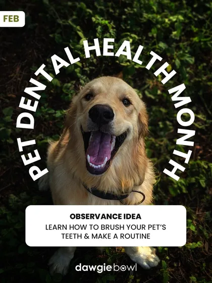 February is Pet Dental Health Month! A quick at-home check of your pet's teeth and gums can help you spot issues early. A healthy diet is your first line of defense against dental disease.