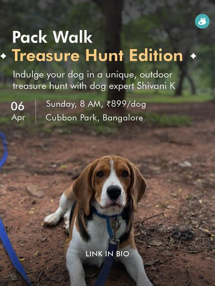 The Pack - Pet-Friendly Adventures & Meetups City Meetups & Doggie Picnics photo 7