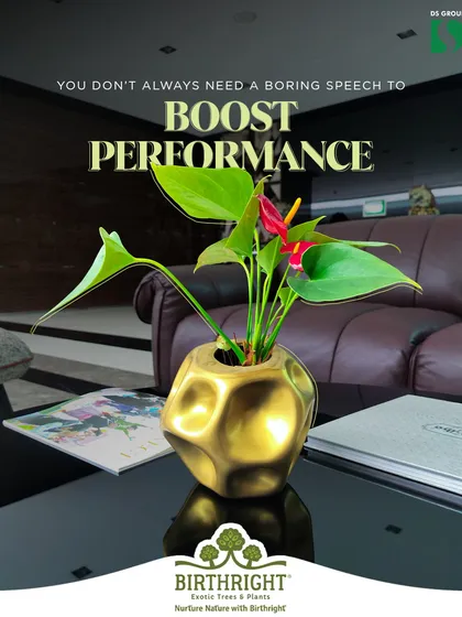 You don't always need a boring speech to boost performance. A vibrant Anthurium in a common area can elevate mood and energy, creating a more positive and productive atmosphere.
