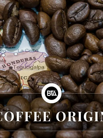 Coffee beans scattered over a map of Honduras, highlighting the importance of coffee origin in the seed-to-cup story.