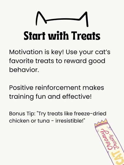 Oh My Dawg - Pet Supplies For New Pet Parents photo 24