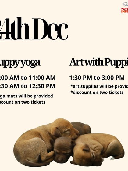 Our schedule for the Petex India festival in Hyderabad on December 24th, featuring puppy yoga and art with puppies.