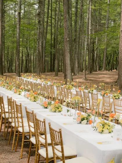 A feast in an enchanted forest. I designed this long table dining experience to feel both grand and intimate, using the natural beauty of the woods as our primary decor. The styling focused on clean lines and simple florals to let the setting speak for itself.