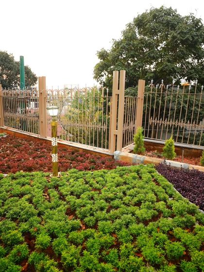 Different types of groundcover plants create a patchwork of color and texture. I manage these beds to prevent weeds and keep the plants dense and healthy.
