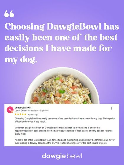 "One of the best decisions I have made for my dog." Reviews like this are why I do what I do. Providing top-notch quality and service, even during challenging times, is my promise to you and your pet.