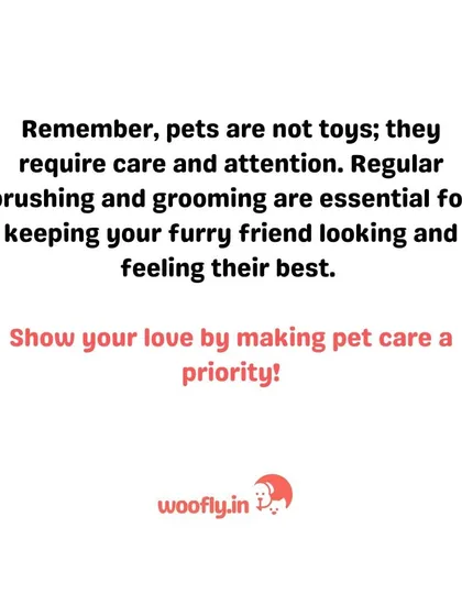 Regular grooming is an act of love and essential for your pet's well-being. Proper brushing prevents painful matted fur and keeps your companion's coat healthy, which is a key part of my wellness consultations.