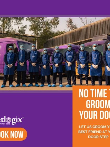No time to go to the groomer? Let us bring the grooming to you. Our professional team arrives at your doorstep, ready to pamper your best friend.