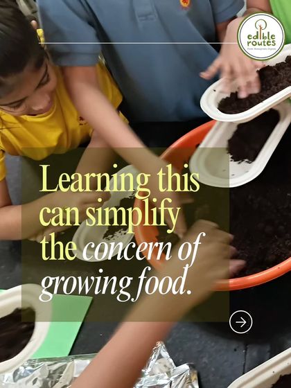 Learning to grow something as simple as microgreens can demystify the larger concern of growing your own food. It's an easy and accessible first step for anyone.