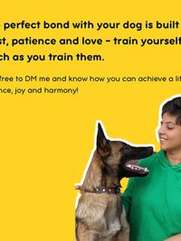 Dog Training & Behavior Consultation