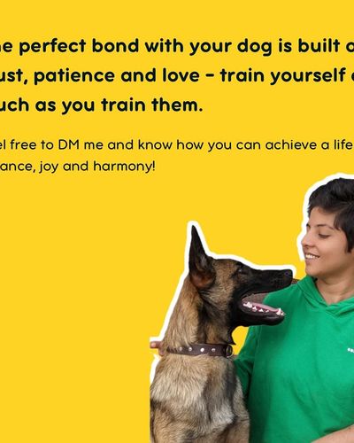 Dog Training & Behavior Consultation