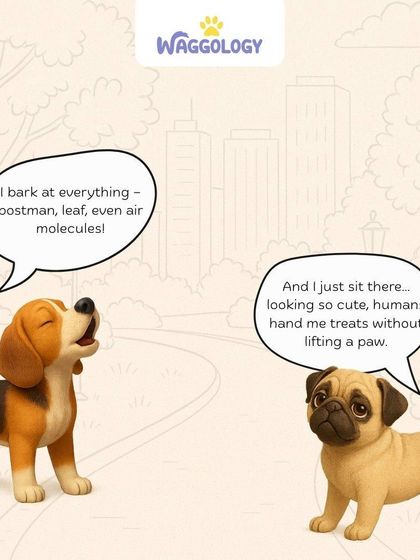 Some dogs bark at everything, while others have perfected the art of looking cute to get treats. This comic captures the hilarious contrast between different dog personalities.
