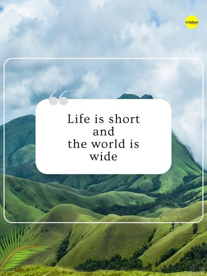 "Life is short and the world is wide." This inspirational graphic with a beautiful mountain backdrop captures the philosophy of our travelers.