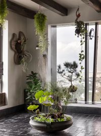 Living Botanical Art & Arrangements