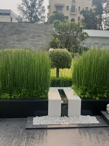A minimalist water feature with tall horsetail reeds adds a touch of Zen to this garden space. The clean lines of the planters and the simple white pebble details create a calm and contemplative corner.