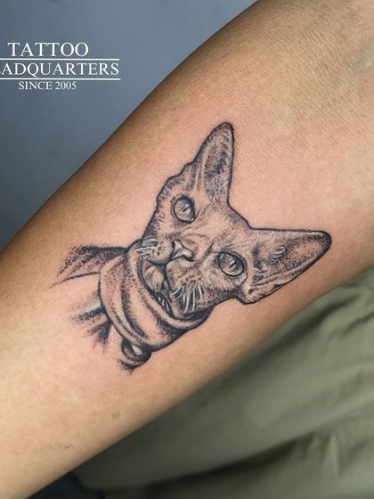 A curious cat peeking into the frame. This pet portrait tattoo captures a playful moment with realistic shading.
