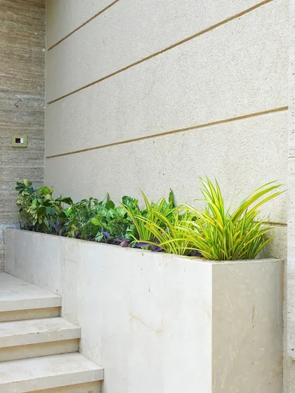 After: We filled the planter with a mix of shade-tolerant plants like Umbrella plants, Syngonium, and Spider plants, with a touch of color from the Purple Heart plant, creating a mini jungle.