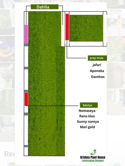 A 2D planting plan, where we map out the exact location for different types of flowers and plants like Dahlia, Salvia, and Marigold to create a structured and colorful garden bed.