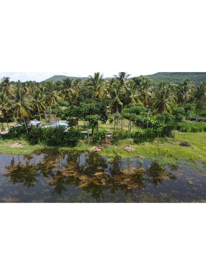 The reflection of palm trees in the water. This shot captures the tropical and serene atmosphere of our lakeside location.