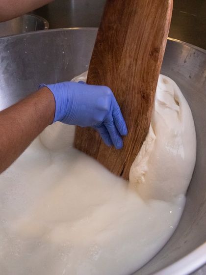 The mozzarella curds being worked in a large steel bowl. The stretching process is physical and requires skill to get the texture just right.