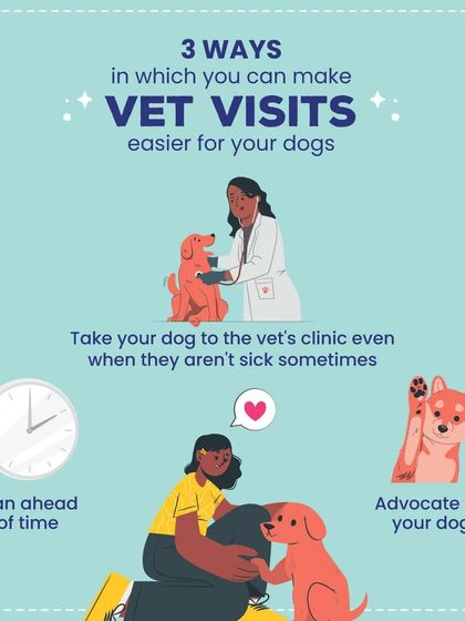 Furry Story - Pet Sitter & Home Boarder Training The Sitter's Toolkit: Daily Care & Handling photo 11