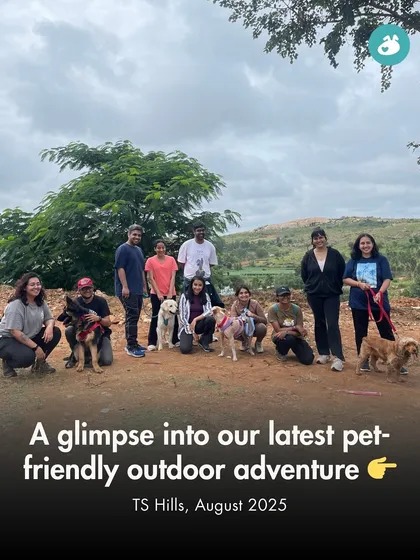 We love taking our adventures outdoors. This picture is from our recent pet-friendly hike to TS Hills, where dogs and their parents bonded over a morning of exploration, tail wags, and beautiful weather.