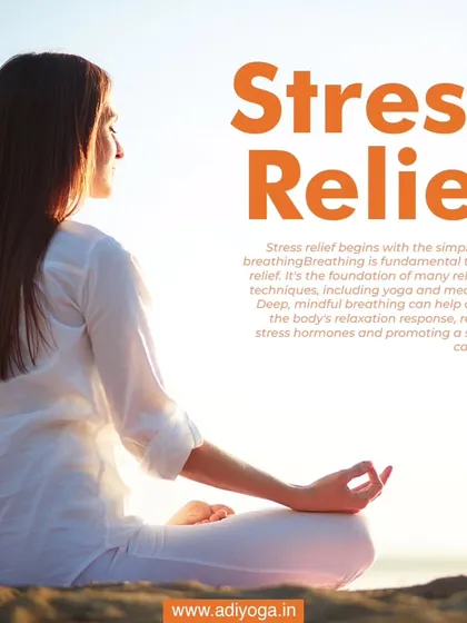 Stress relief begins with the simple act of breathing. Meditation and focused breathwork are fundamental to calming the nervous system and reducing stress hormones.