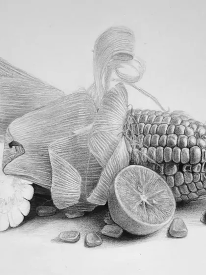 The final stages of the corn drawing, where the last details and shadows are added to bring the composition together.