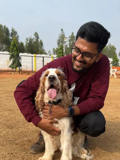 The end result of a stress-free grooming session is a happy, comfortable dog. I use a gentle but firm approach to build trust, especially with anxious dogs.